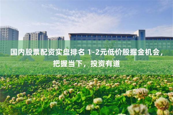 国内股票配资实盘排名 1-2元低价股掘金机会，把握当下，投资有道