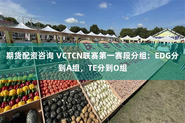 期货配资咨询 VCTCN联赛第一赛段分组：EDG分到A组，TE分到O组