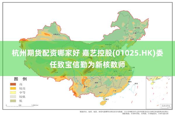 杭州期货配资哪家好 嘉艺控股(01025.HK)委任致宝信勤为新核数师