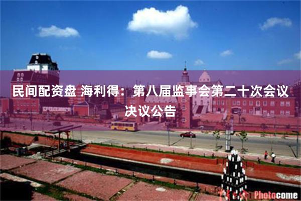 民间配资盘 海利得：第八届监事会第二十次会议决议公告