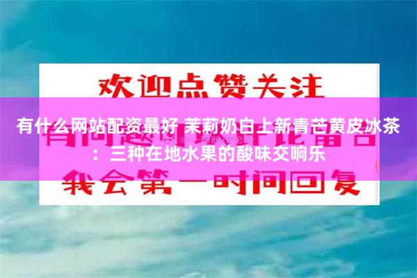 有什么网站配资最好 茉莉奶白上新青芒黄皮冰茶：三种在地水果的酸味交响乐