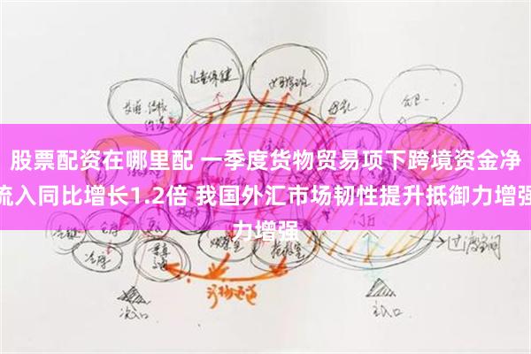 股票配资在哪里配 一季度货物贸易项下跨境资金净流入同比增长1.2倍 我国外汇市场韧性提升抵御力增强