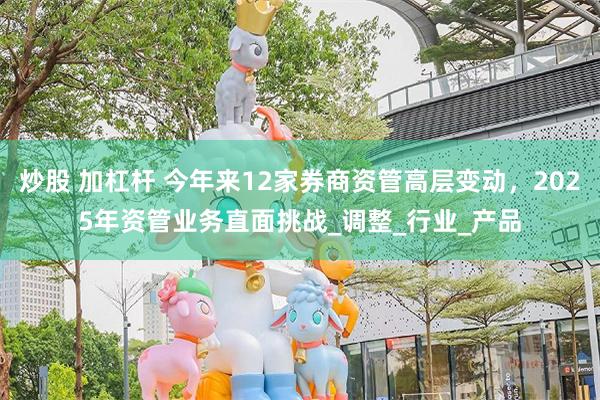 炒股 加杠杆 今年来12家券商资管高层变动，2025年资管业务直面挑战_调整_行业_产品