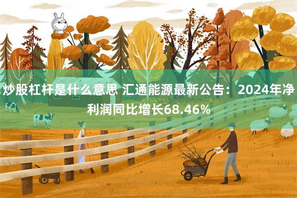 炒股杠杆是什么意思 汇通能源最新公告：2024年净利润同比增长68.46%