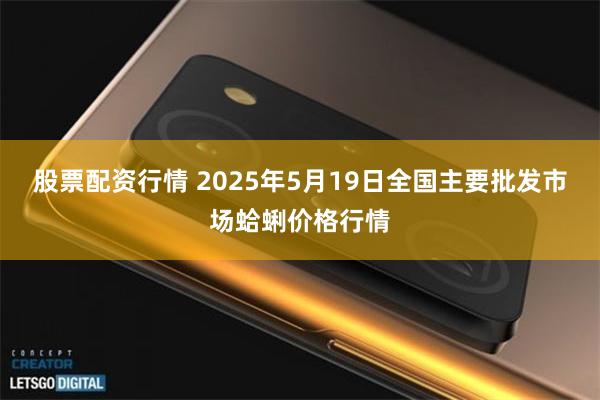 股票配资行情 2025年5月19日全国主要批发市场蛤蜊价格行情