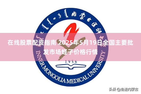 在线股票配资指南 2025年5月19日全国主要批发市场蛏子价格行情
