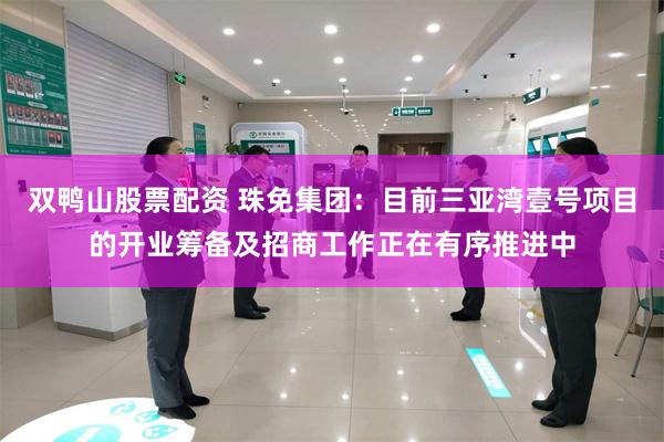 双鸭山股票配资 珠免集团：目前三亚湾壹号项目的开业筹备及招商工作正在有序推进中