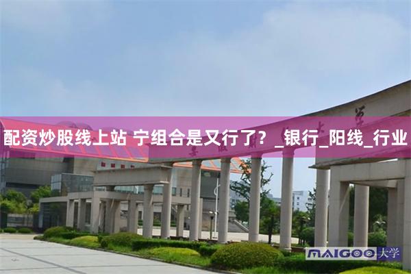 配资炒股线上站 宁组合是又行了？_银行_阳线_行业