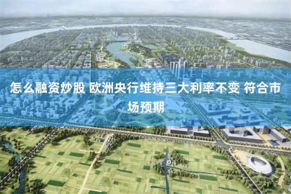 怎么融资炒股 欧洲央行维持三大利率不变 符合市场预期