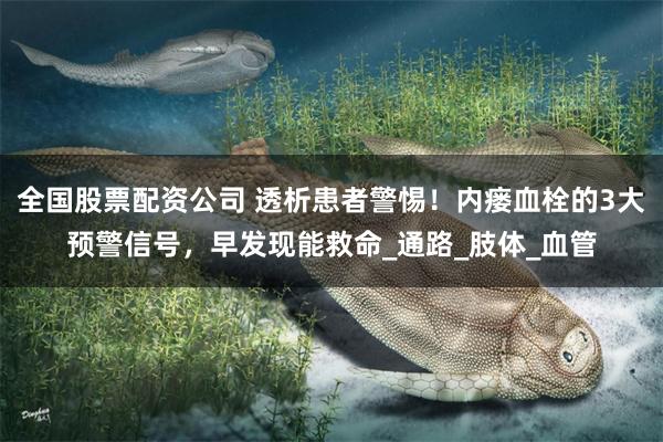 全国股票配资公司 透析患者警惕！内瘘血栓的3大预警信号，早发现能救命_通路_肢体_血管