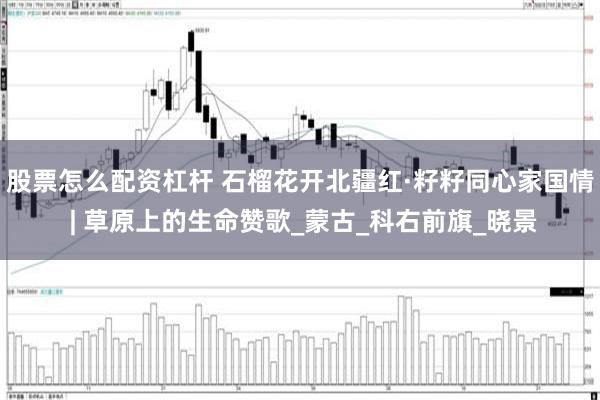 股票怎么配资杠杆 石榴花开北疆红·籽籽同心家国情 | 草原上的生命赞歌_蒙古_科右前旗_晓景