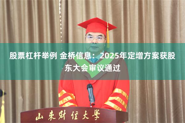 股票杠杆举例 金桥信息：2025年定增方案获股东大会审议通过