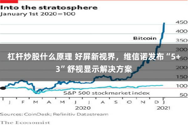 杠杆炒股什么原理 好屏新视界，维信诺发布“5+3”舒视显示解决方案