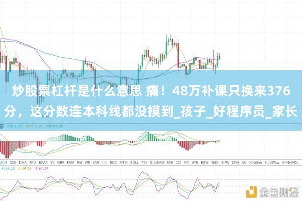 炒股票杠杆是什么意思 痛！48万补课只换来376分，这分数连本科线都没摸到_孩子_好程序员_家长